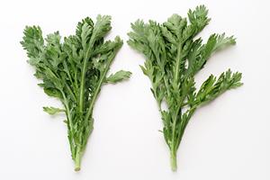 渋谷で見つける絶品淡麗系ラーメンガイド｜写真映え＆ヘルシー志向にぴったりの人気店