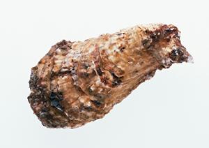 短期間でも成果の出る断食道場について