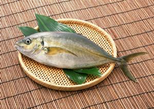 新宿三丁目で楽しめる美容と健康に効果的なごま料理と新鮮素材を堪能できる居酒屋【ごまや 新宿三丁目】