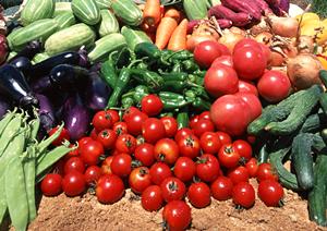 昼から豊中でお腹を満たせる名店へ行こう