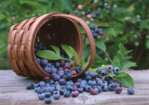 2026年版！大阪駅周辺で絶対に外さないランチスポット10選