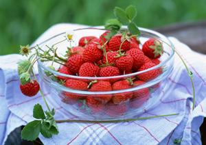 東京水タバコカフェの魅力とは何か