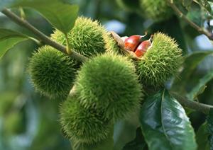 地域密着のお弁当店「つるや」｜仕出し弁当と惣菜の魅力と特徴