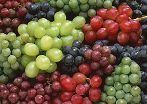 美味しいウイスキーを選ぶなら信濃屋で