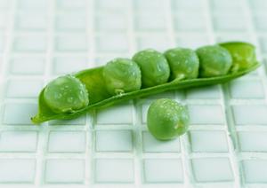 恵比寿でシーシャを楽しむならば