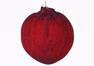 横浜・綱島で人気の伝説のすた丼屋 綱島店：驚きの味と快適な店舗環境を徹底紹介