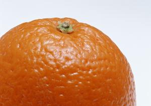 滋賀県で七本鎗を販売している酒店です