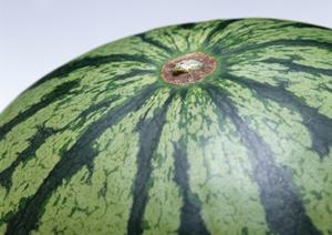 香辛料を提案している会社について